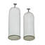 Iron Wire Cloches with Round Base  Set of 2  Gray