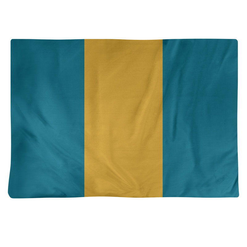 Récapitulatif en coton 18" retour football Jacksonville, Aqua / Or