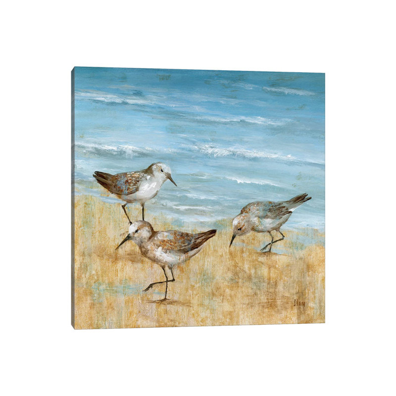 "Sandpipers II" par Nan, reproduction d’art, Toile tendue, Pas de tapis, H 12 po x l 12 po x P 0,75 po
