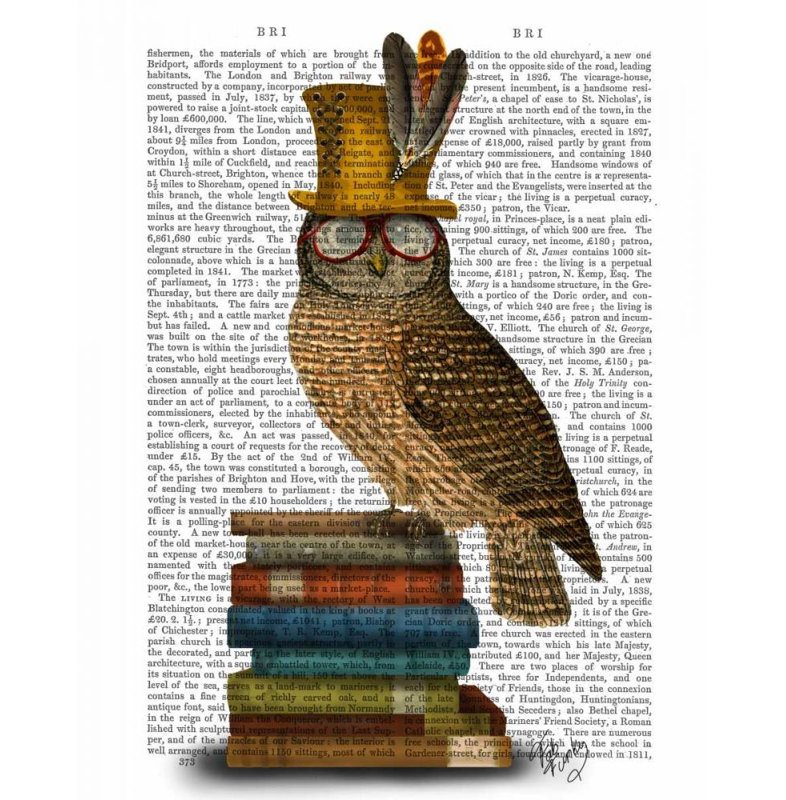 Art sur toile tendue Trinx Fab Funky Gallery, «Owl On», H 45 po x l 36 po