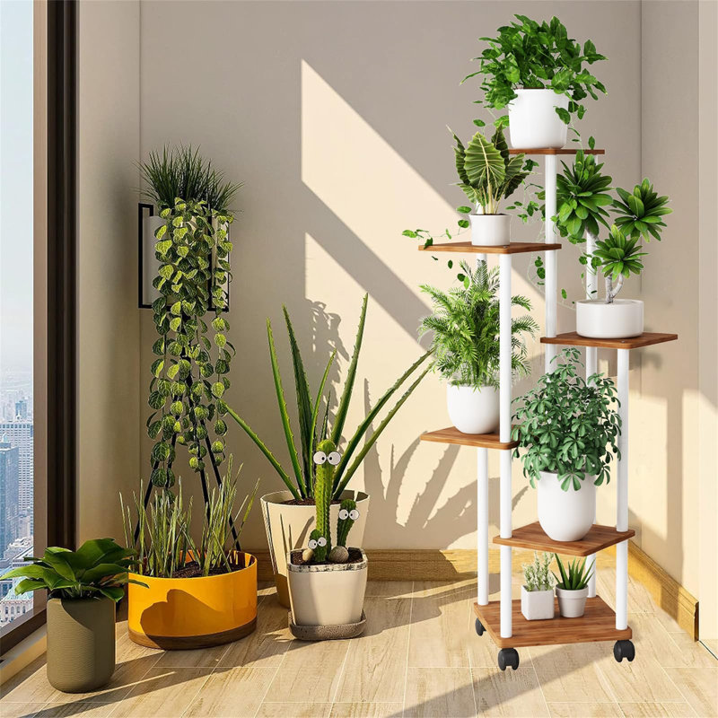 Plant Stand - Set of 6