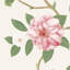 Christabel Wallpaper-50889111