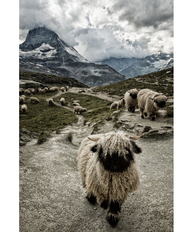 Wrapped Canvas Print, 76.2 cm H x 50.8 cm W