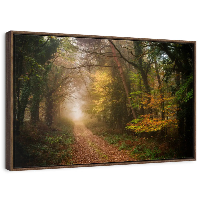Chemin dans la forêt d'automne, Cadre flottant noyer, 40 po x 27 po