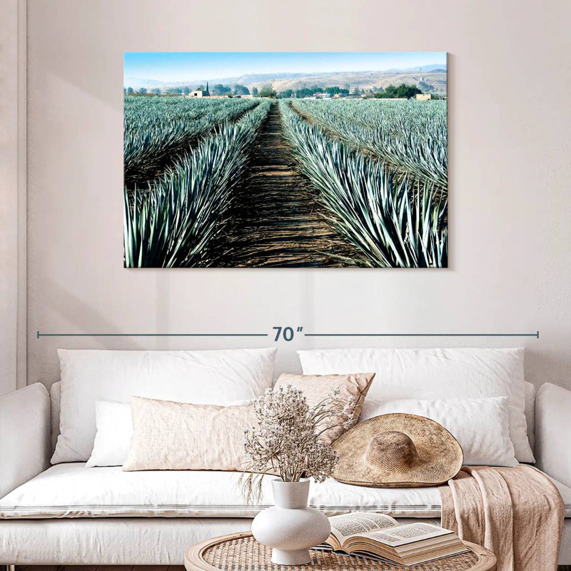 Agave Alvord Farm, H 30 po x l 45 po