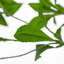 Faux Pieris Tree-Faux Pieris Tree-8'