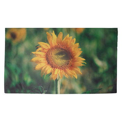 Semple Indoor Doormat