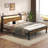 Queen Metal Platform Bed with 2-Tier Headboard, RGB LED Light & Charging Station, Easy Assembly, Brown-2102245818-2102245817