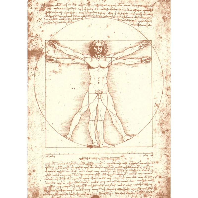 The Vitruvian Man, H 18 po x l 13 po