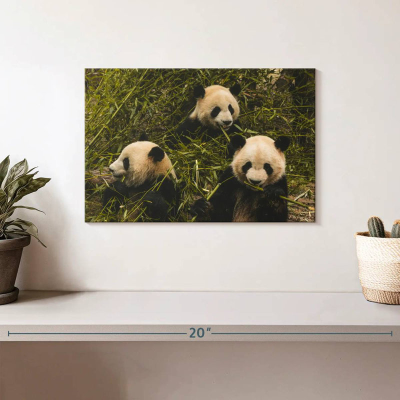 Trois Pandas affamés, H 8 po x l 12 po