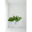 Support pour plante gigogne Chimdindu