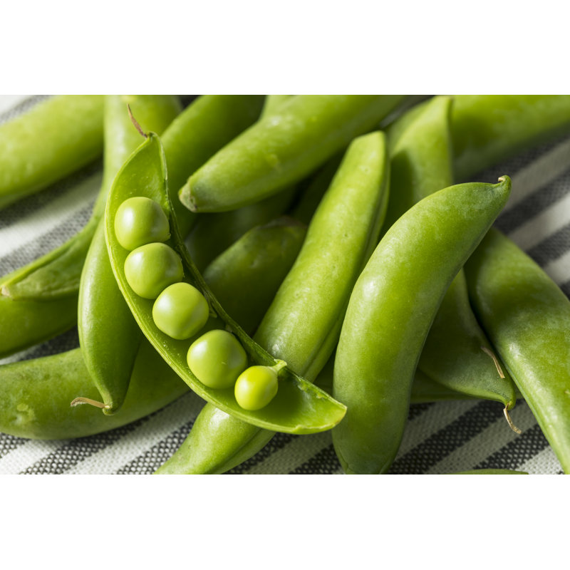 Snap Peas - Wrapped Canvas Print, 20cm H x 30cm W x 3.8cm D