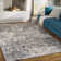 Medved Abstract Indoor Rug