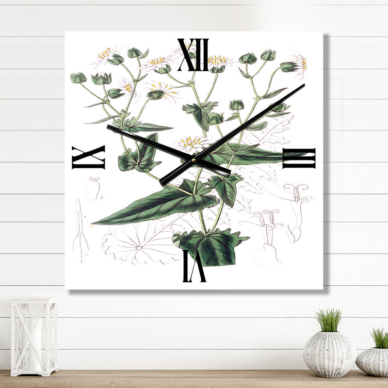 Horloge murale rétro Vintage Plant Life XXII, Petit