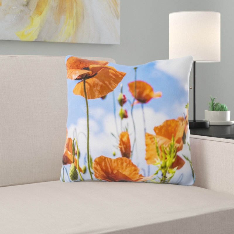 Coussin de jeté