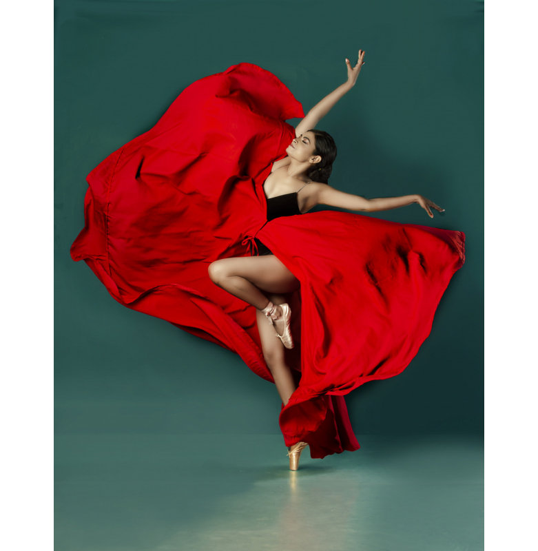 Wrapped Canvas Print, 81.28 cm H x 121.92 cm W
