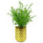 Annelies Arrangement