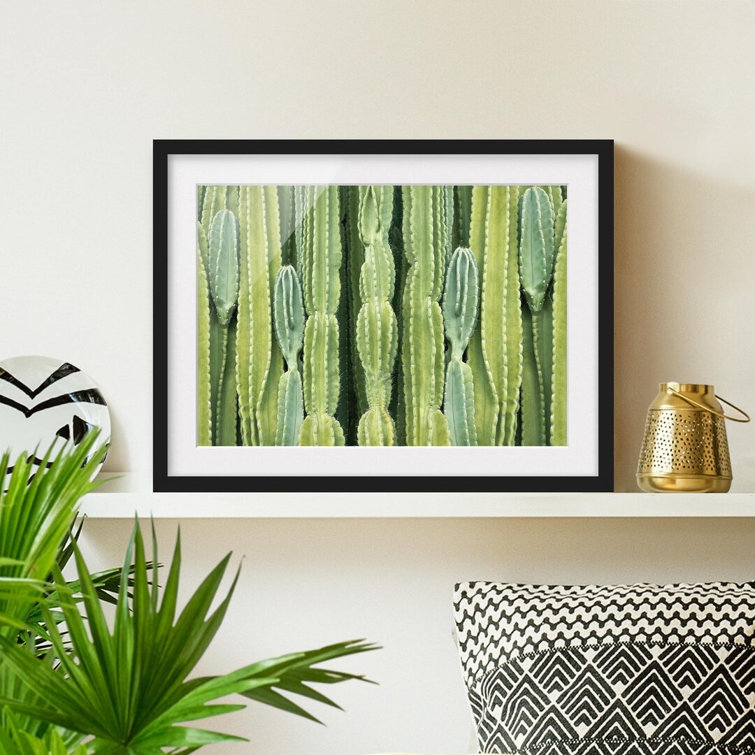 Gerahmtes Poster Cactus Wall