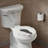 Primary Elongated Toilet Seat-6952578