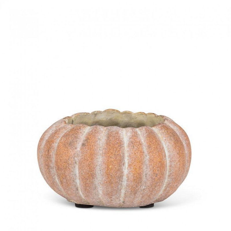 Mini Low Pumpkin Planter