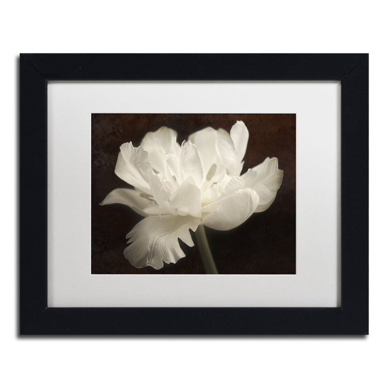« white tulip ii », reproduction de photo sur toile encadrée, H 11 po x l 14 po x P 0,5 po, Noir