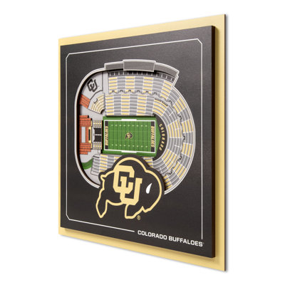 NCAA Colorado Buffaloes Stadium Series 3D Wall Art