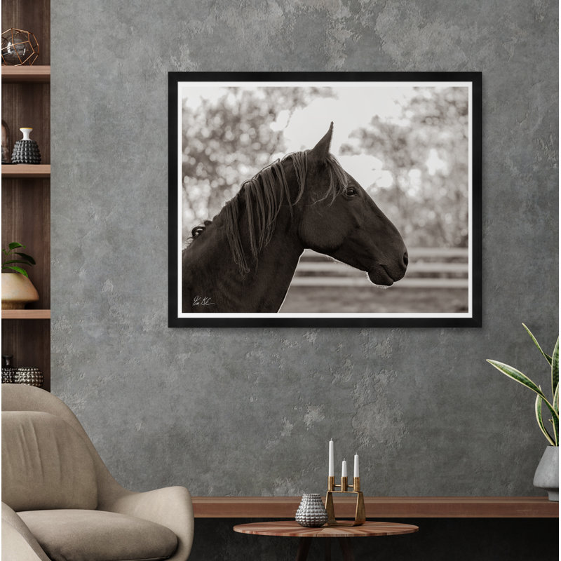 Horse Profile Framed Photographic Print