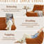 Chaise d'appoint capitonnée en microfibre, chaise de loisirs rembourrée confortable pour le mobilier de salon, orange-1452307781