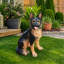 Statue d'extérieur chien de berger allemand pour jardin