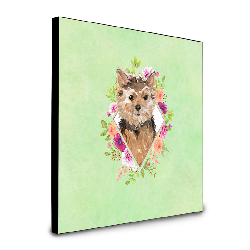 Panneau mural Dollman Flowers, Rose, Norwich Terrier