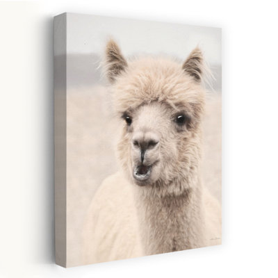 Soft Alpaca 2 Contemporary Portrait Art
