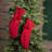 Knitted Christmas Stocking-1668247788