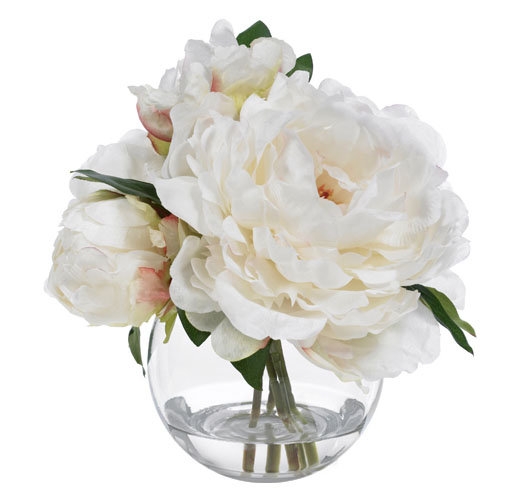 BLOOMS Cream Peonies in Glass Vase