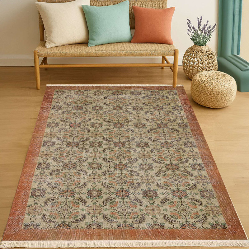 Distressed Traditional Rust Border Area Rug