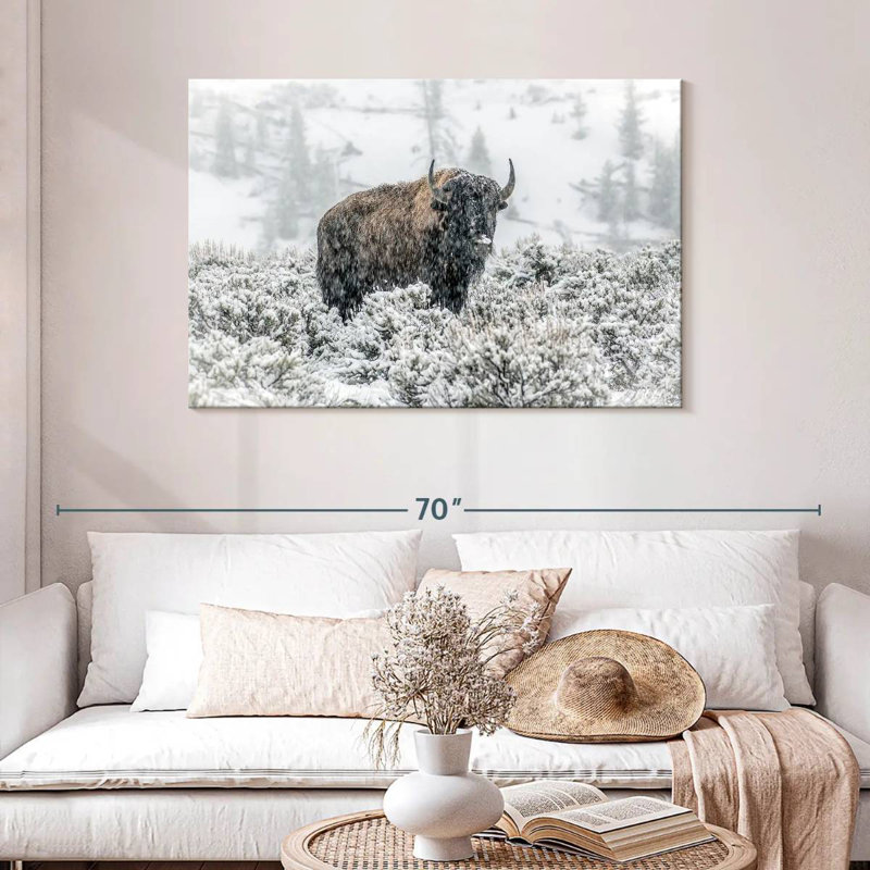 Brampt Lamar Valley Bison