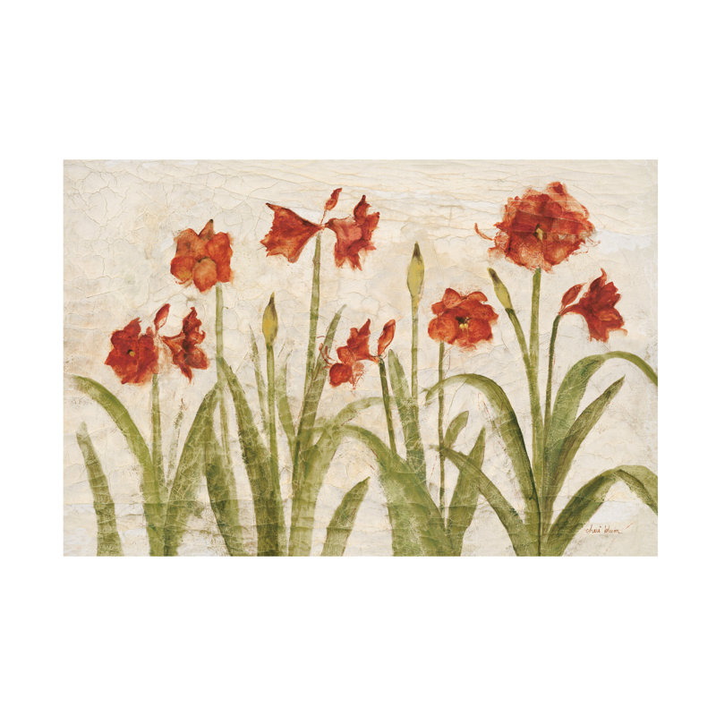 Art sur toile Cheri Blum «Row of Red Amaryllis Light», H 12 po x l 19 po x P 2 po
