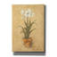 White Amaryllis 2' by Cheri Blum Canvas Wall Art, 18" x 26"-134644981