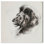 «Lifeline of a Lioness», reproduction d'art sur toile par Art Remedy