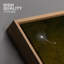 Pissenlit blanc sur fond brun, illustrations de plantes, minimalisme, décor de salon rustique-102488252-102488256