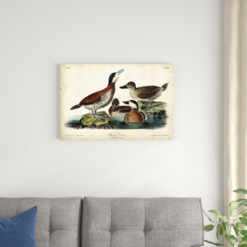 Audubon Ducks II, H 20 po x l 30 po x P 1,25 po