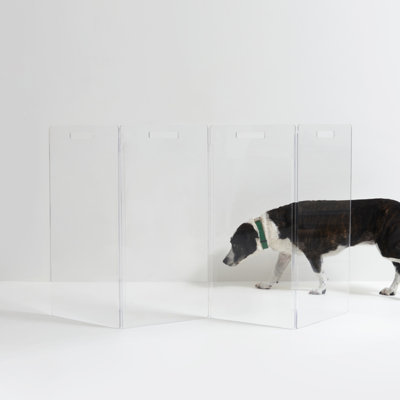 Hiddin Clear Freestanding Tall Zig Zag Pet Gate