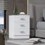 Lycinda 3-Drawer Chest of Drawers-1324373765