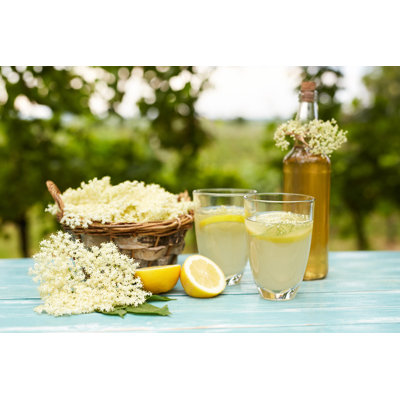 Elderflower Lemonade - Photographie sur toile tendue