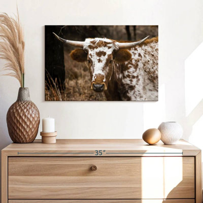 Brampt Longhorn Bull