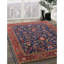 Oriental Indoor Rug-212235592