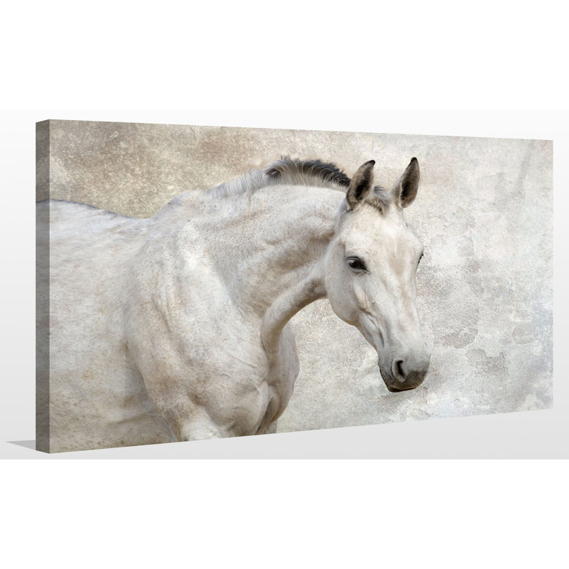 « champion », reproduction de photo sur toile tendue, H 24 po x l 40 po x P 1 po