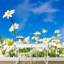 Murale florale-93996763