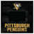 Pittsburgh Penguins