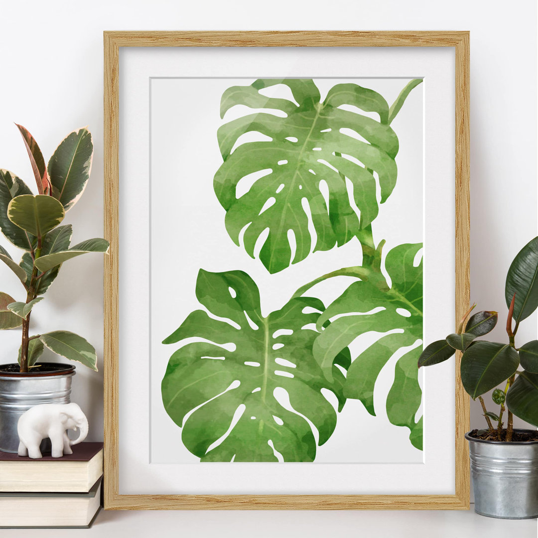 Gerahmtes Poster Monstera Watercolour