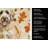 Labradoodle Heirloom Fall Kitchen Towel-1218231475